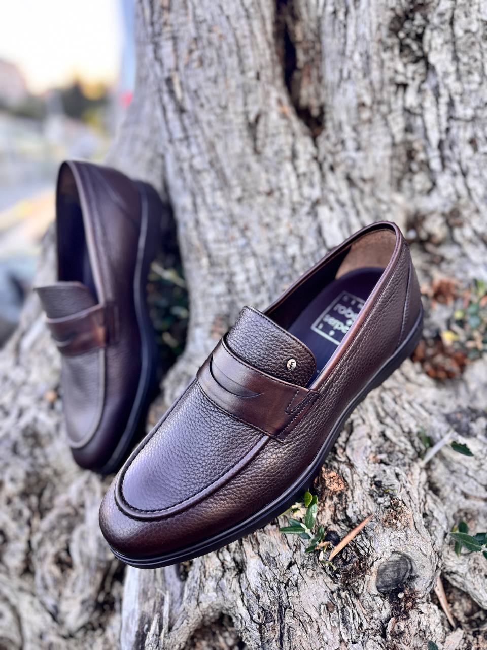 Фото Roberto Serpentini