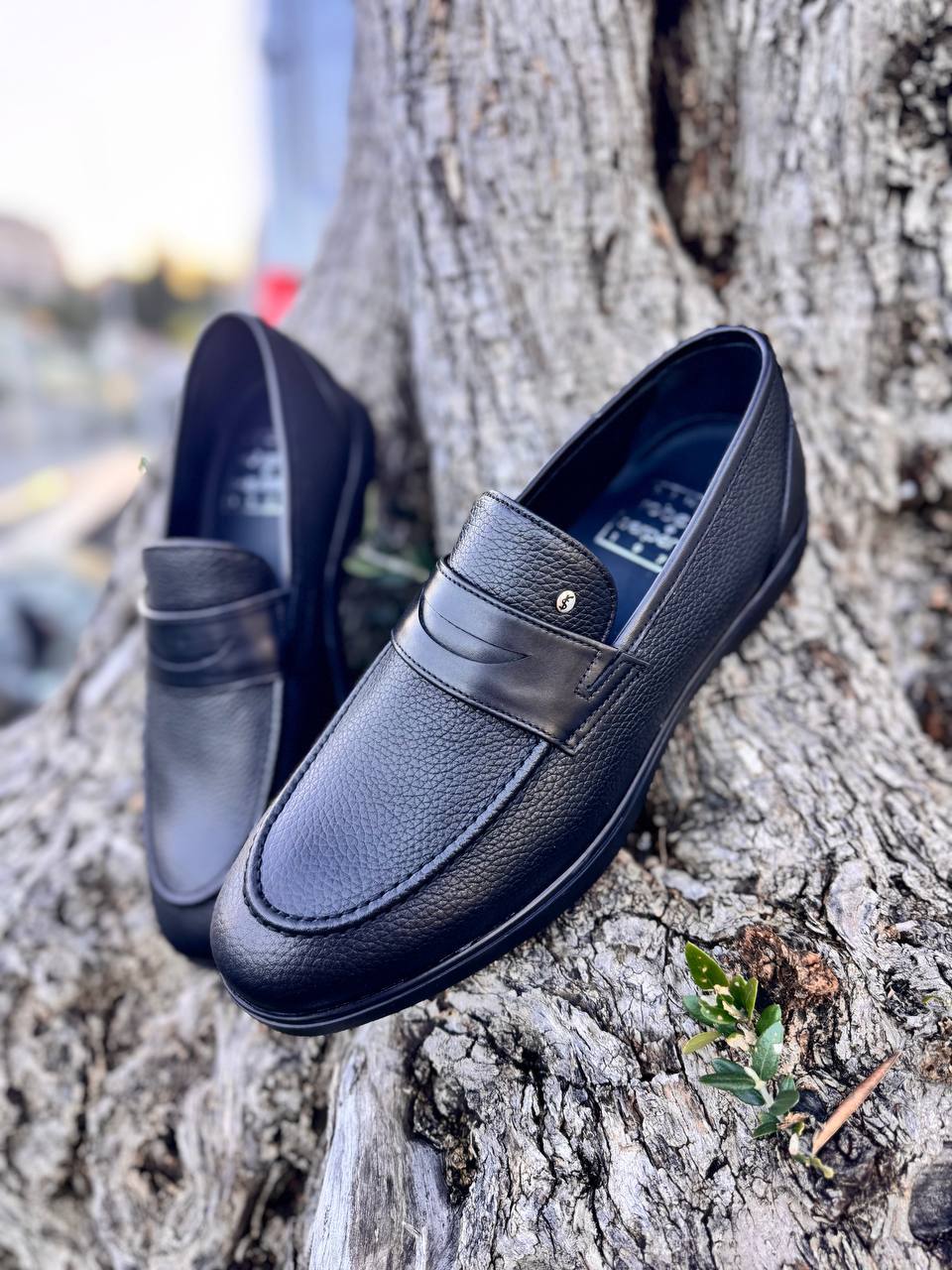 Фото Roberto Serpentini