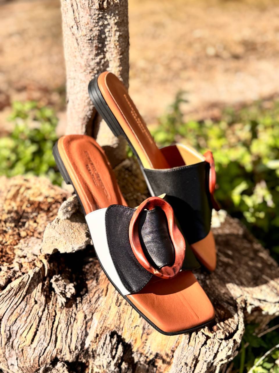 Фото Roberto Serpentini