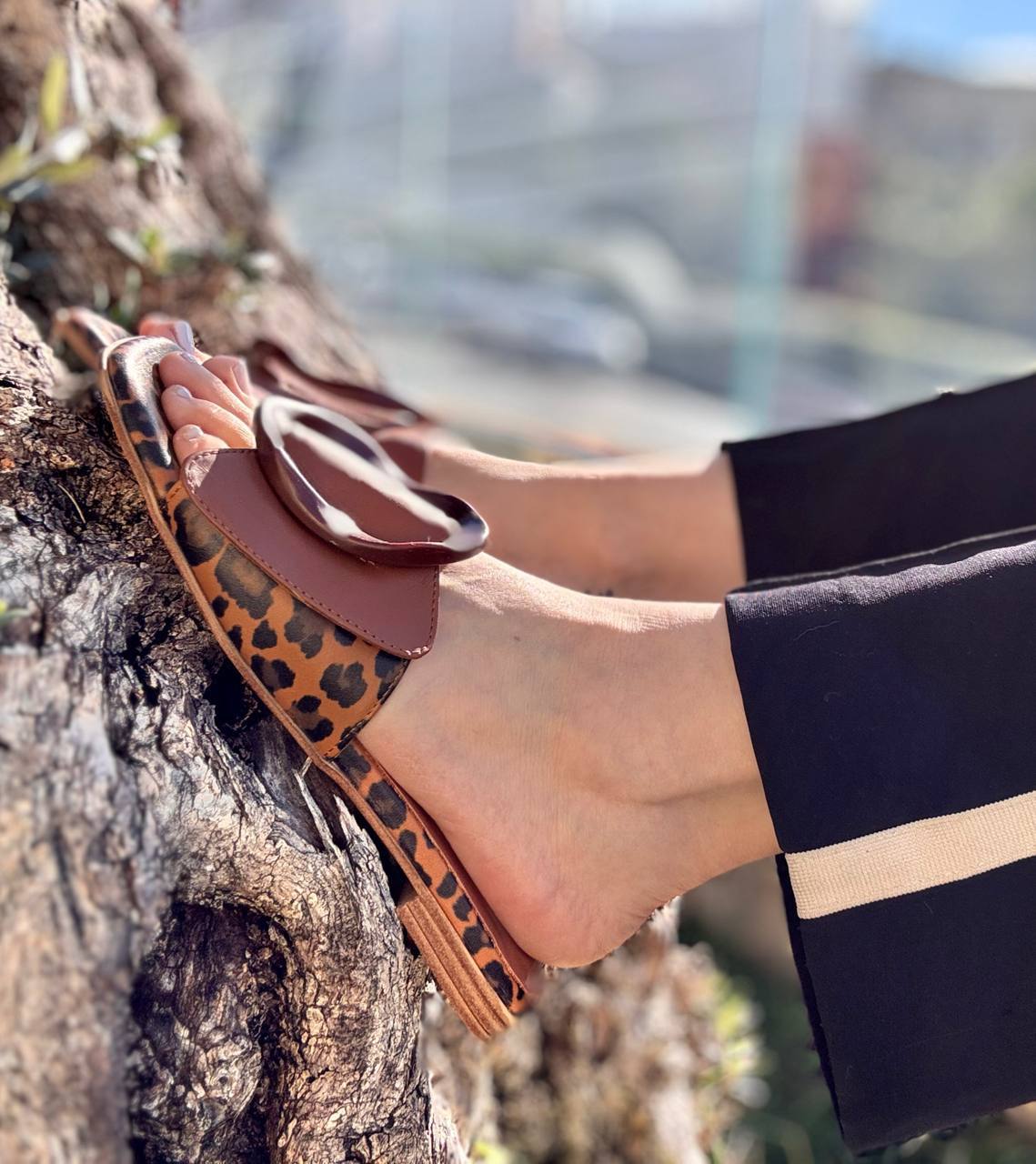 Фото Roberto Serpentini