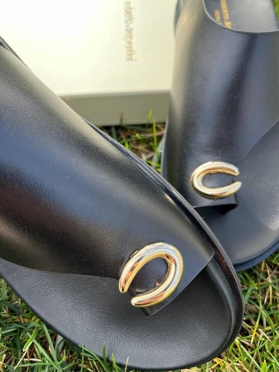 Фото Roberto Serpentini