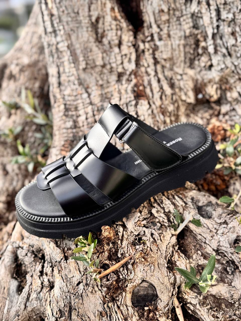 Фото Roberto Serpentini