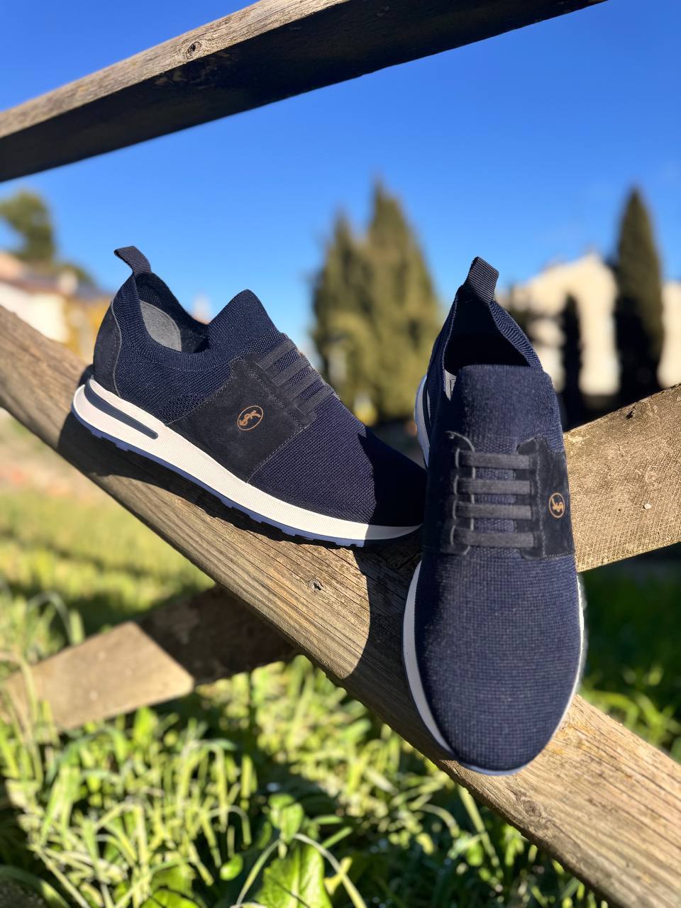 Фото Roberto Serpentini