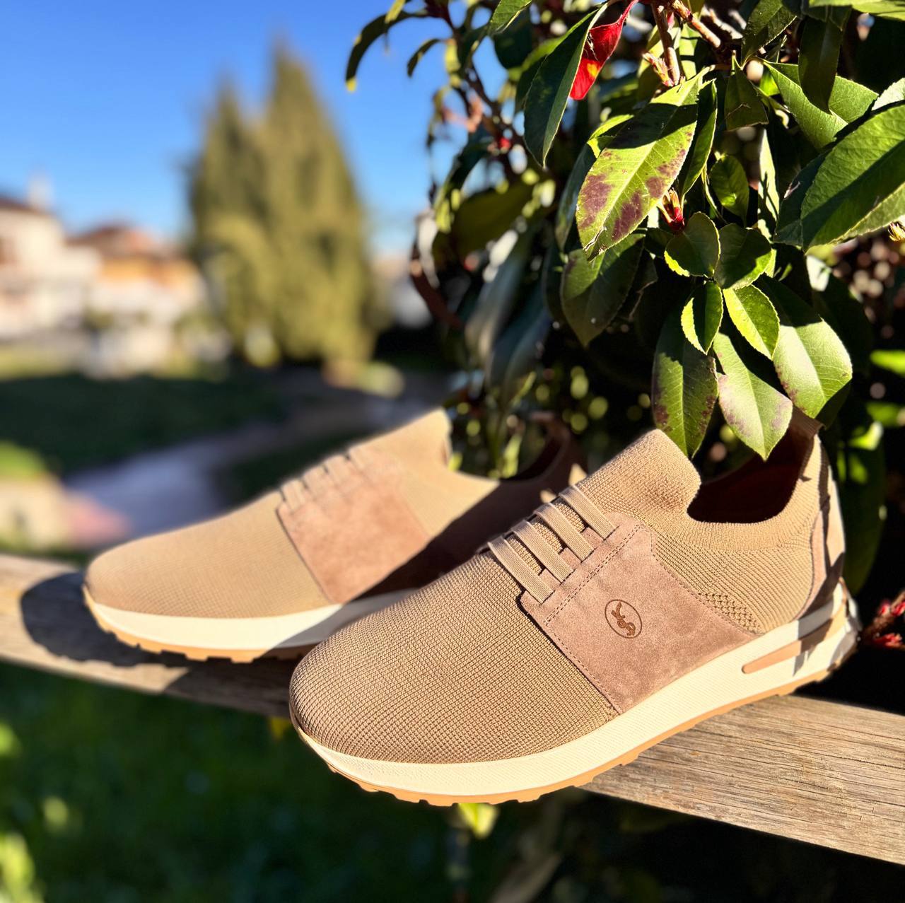 Фото Roberto Serpentini