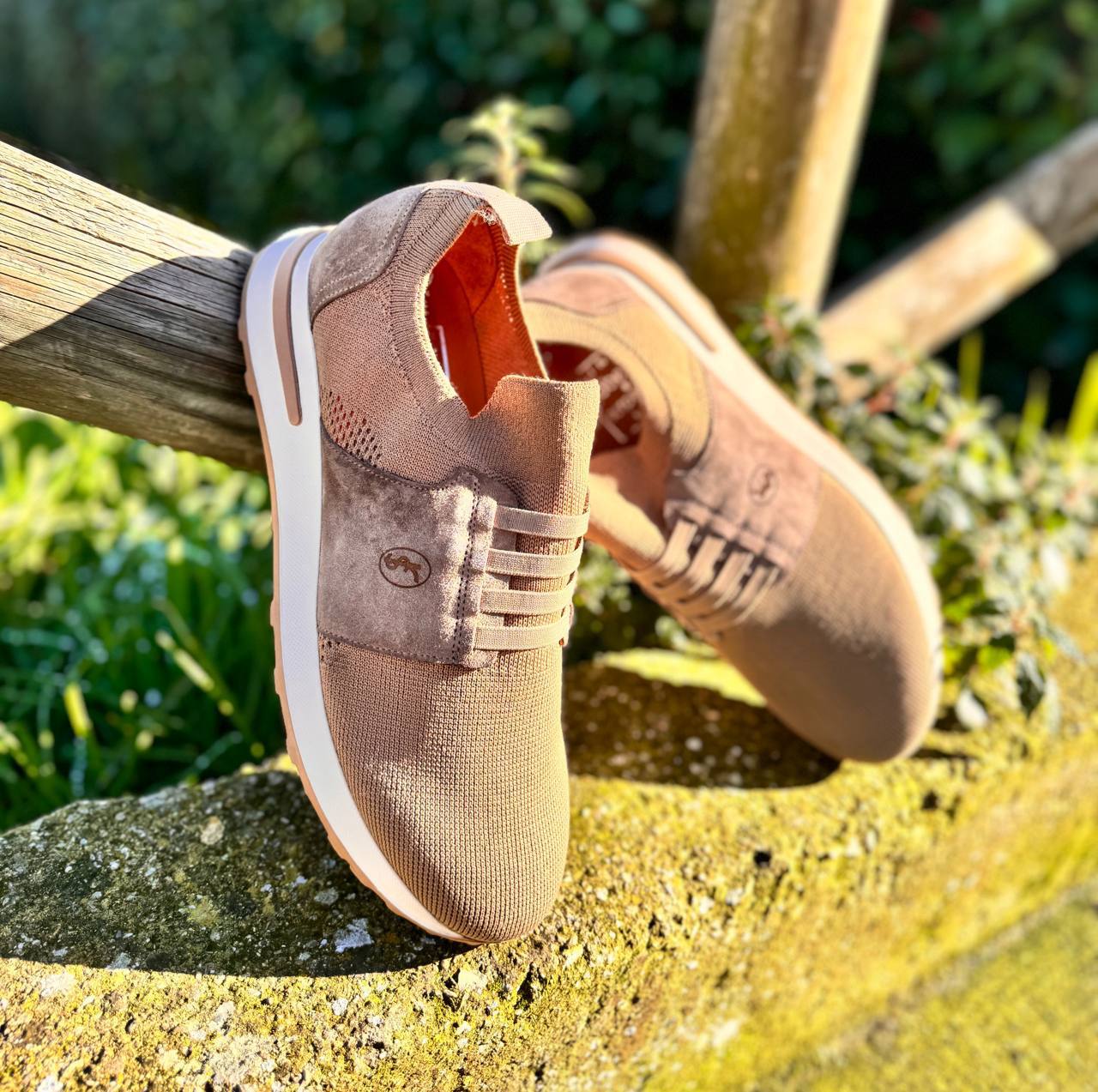 Фото Roberto Serpentini