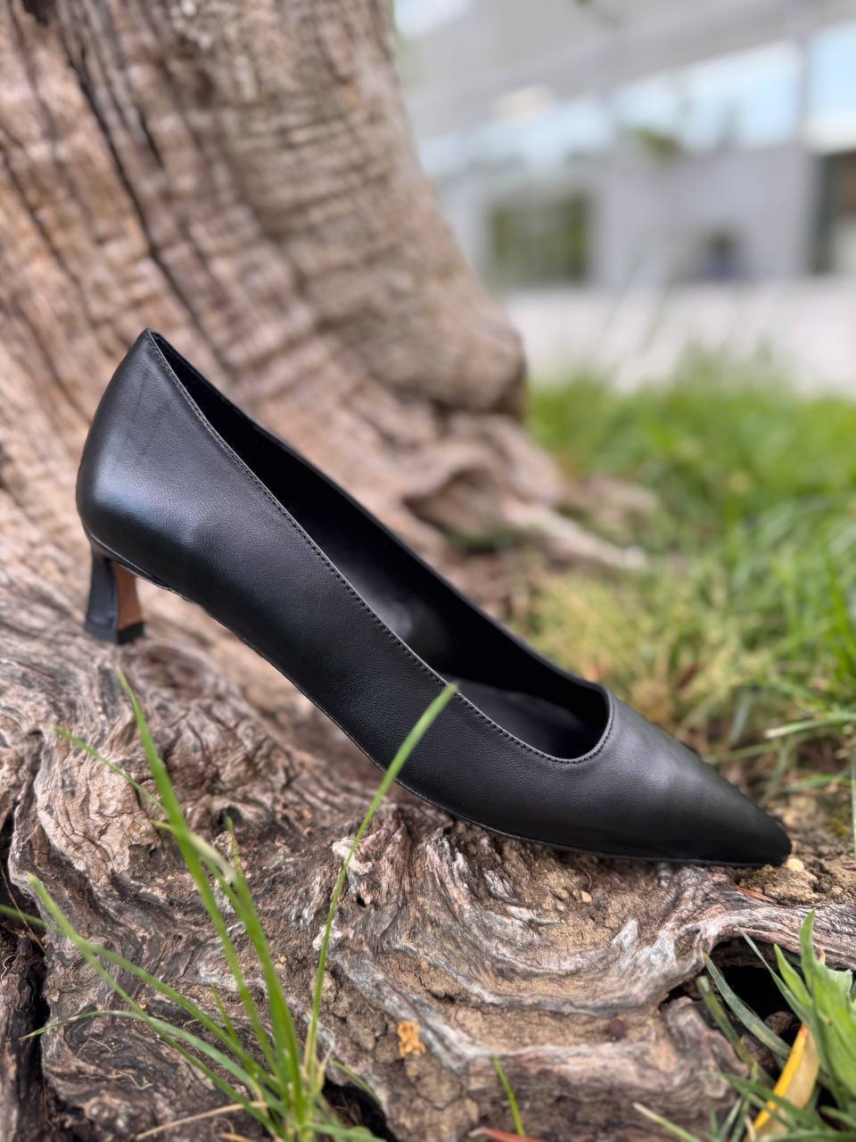 Фото Roberto Serpentini