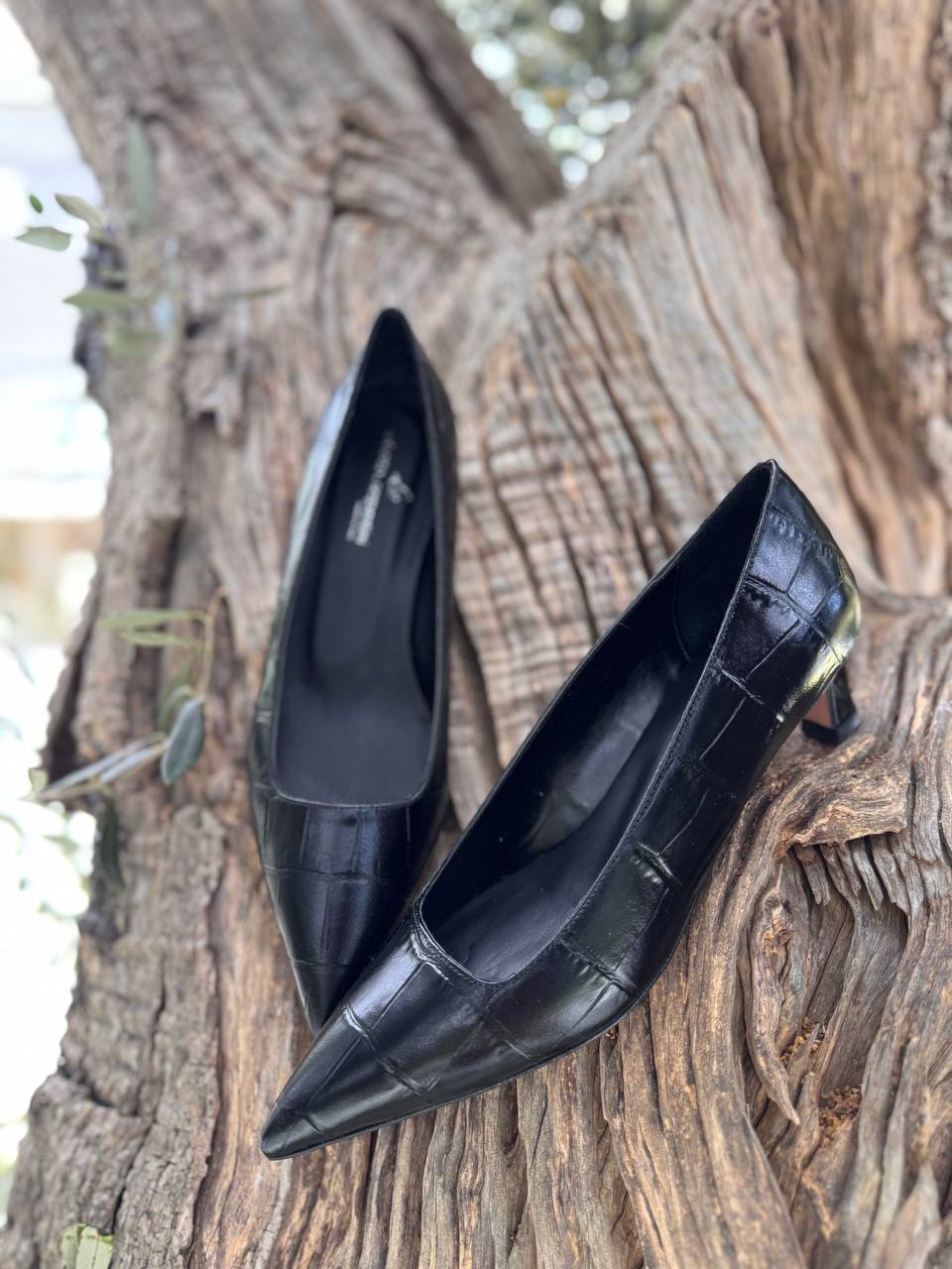 Фото Roberto Serpentini