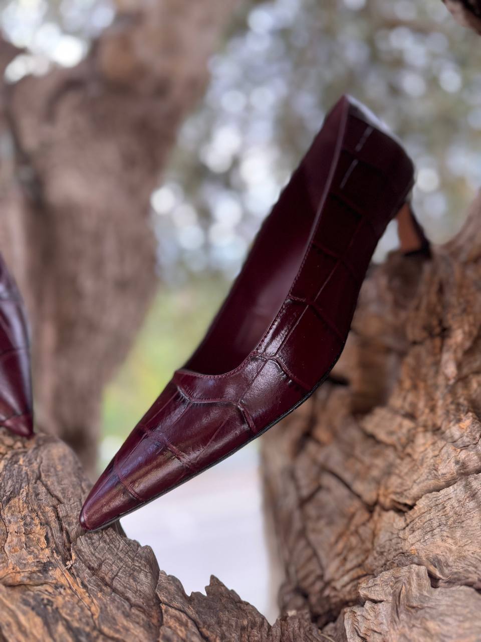 Фото Roberto Serpentini