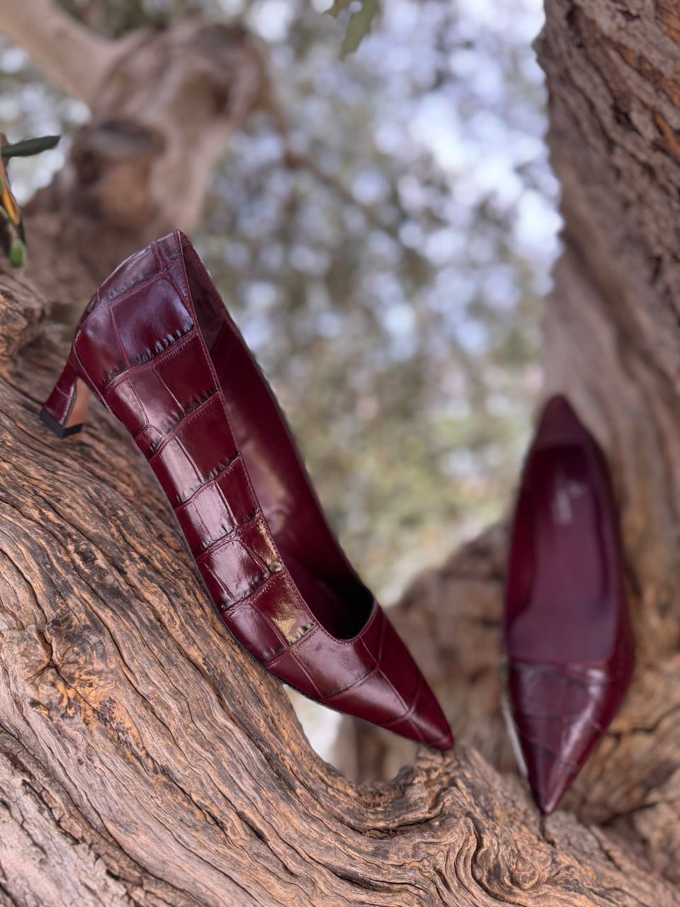 Фото Roberto Serpentini