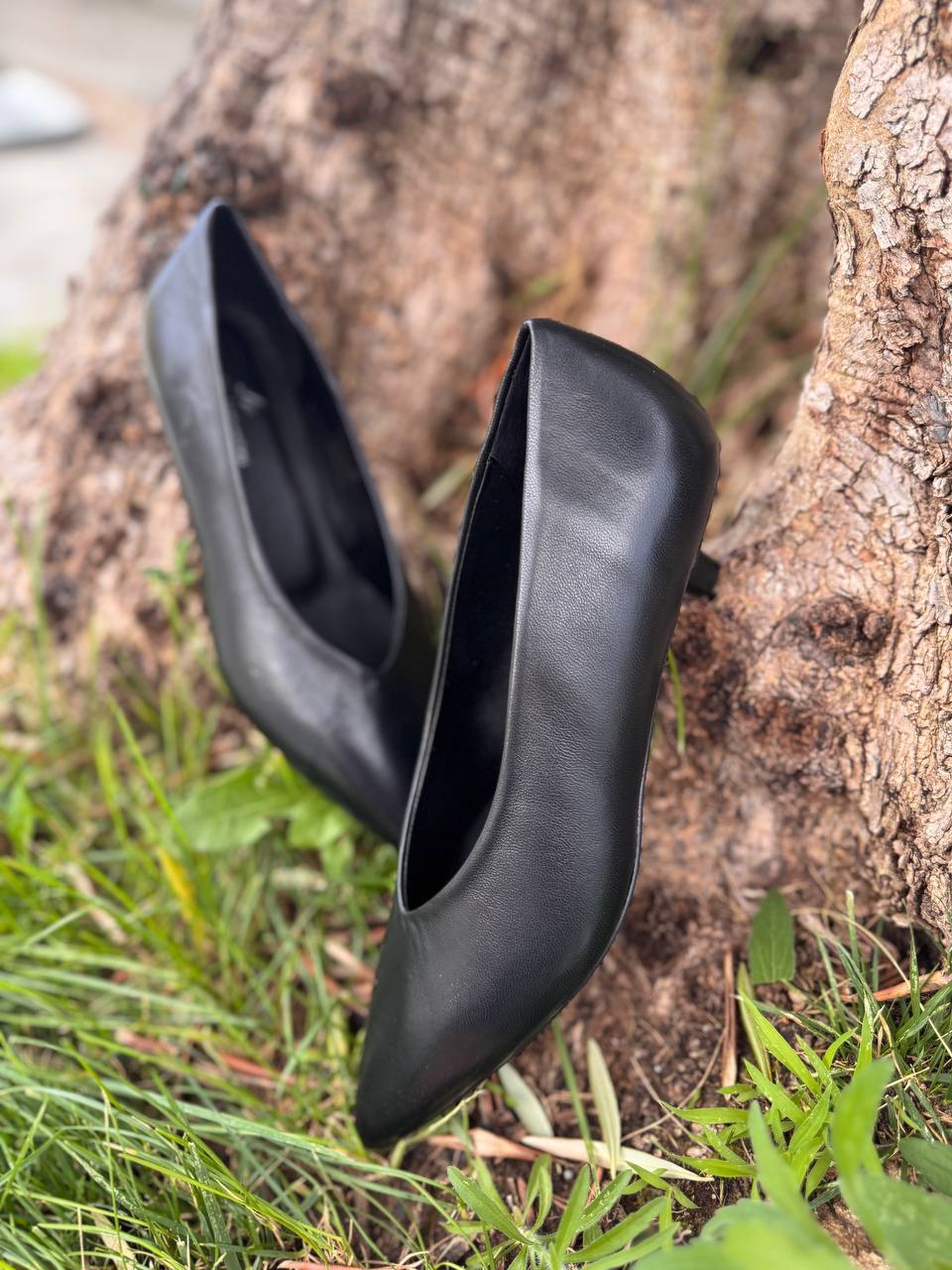 Фото Roberto Serpentini