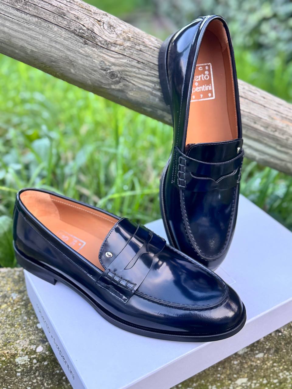 Фото Roberto Serpentini