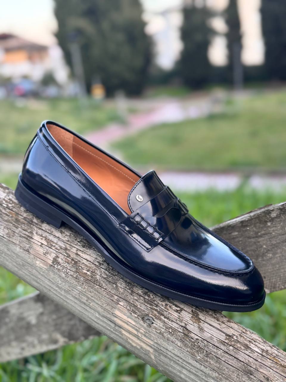 Фото Roberto Serpentini