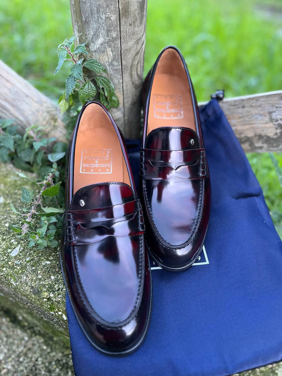 Фото Roberto Serpentini