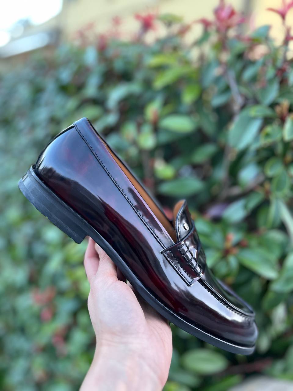 Фото Roberto Serpentini