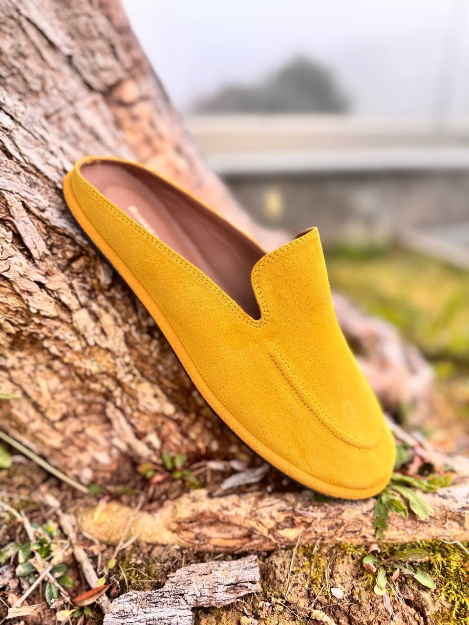 Фото Roberto Serpentini