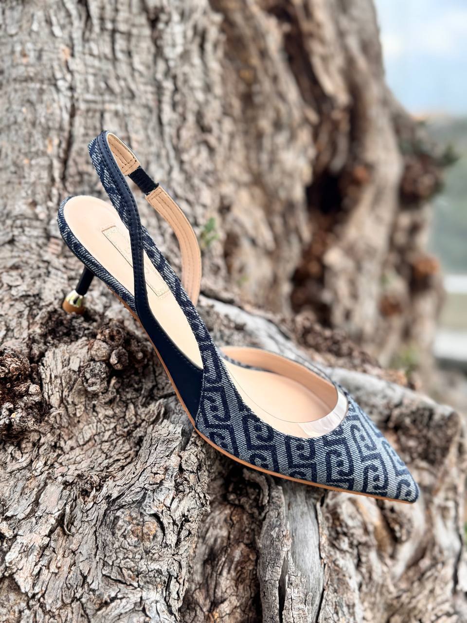 Фото Roberto Serpentini