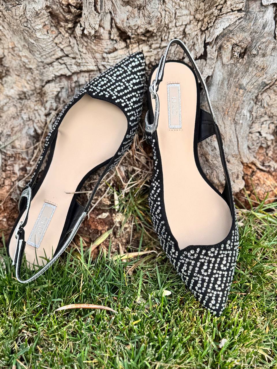 Фото Roberto Serpentini