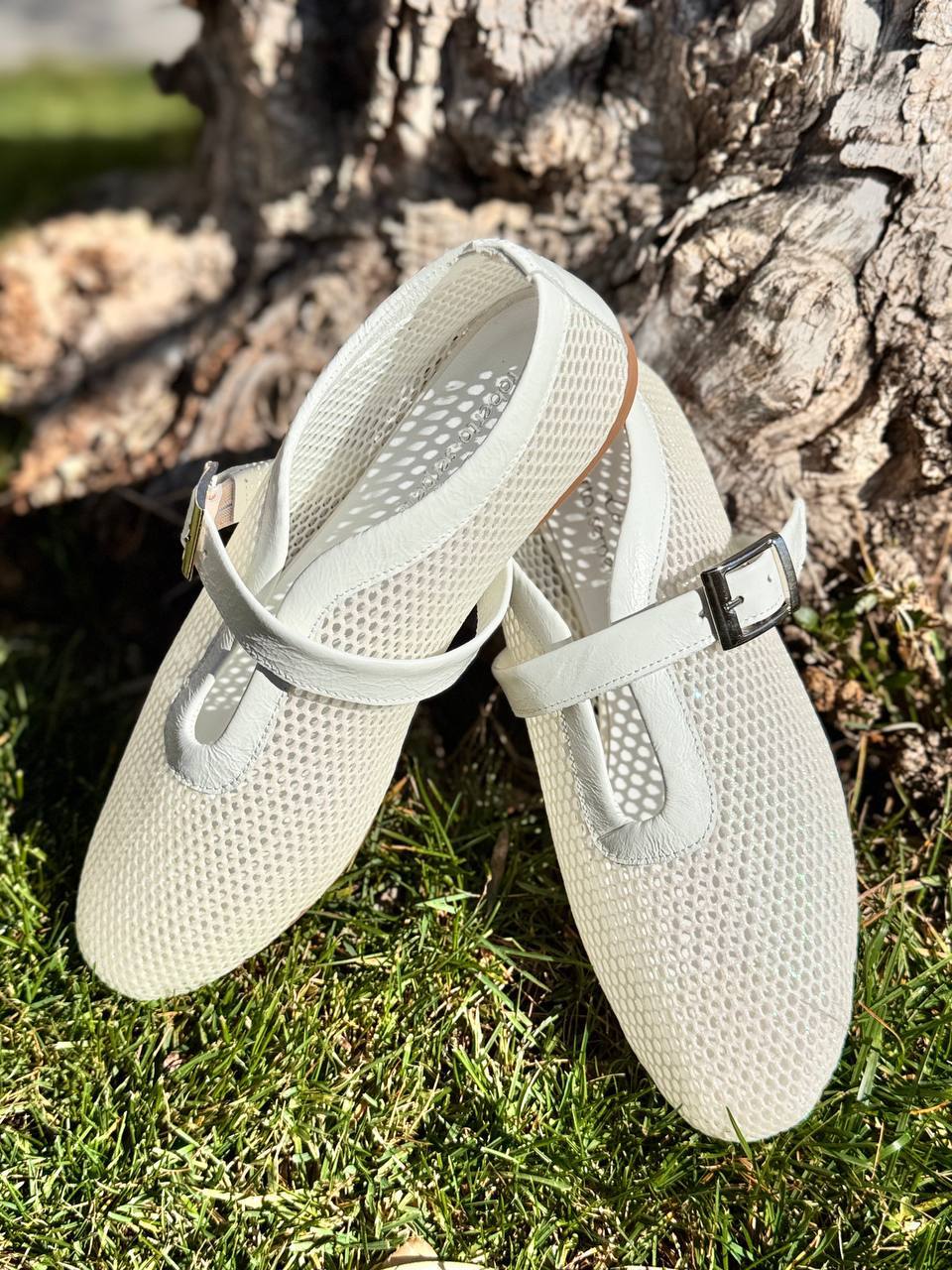 Фото Roberto Serpentini