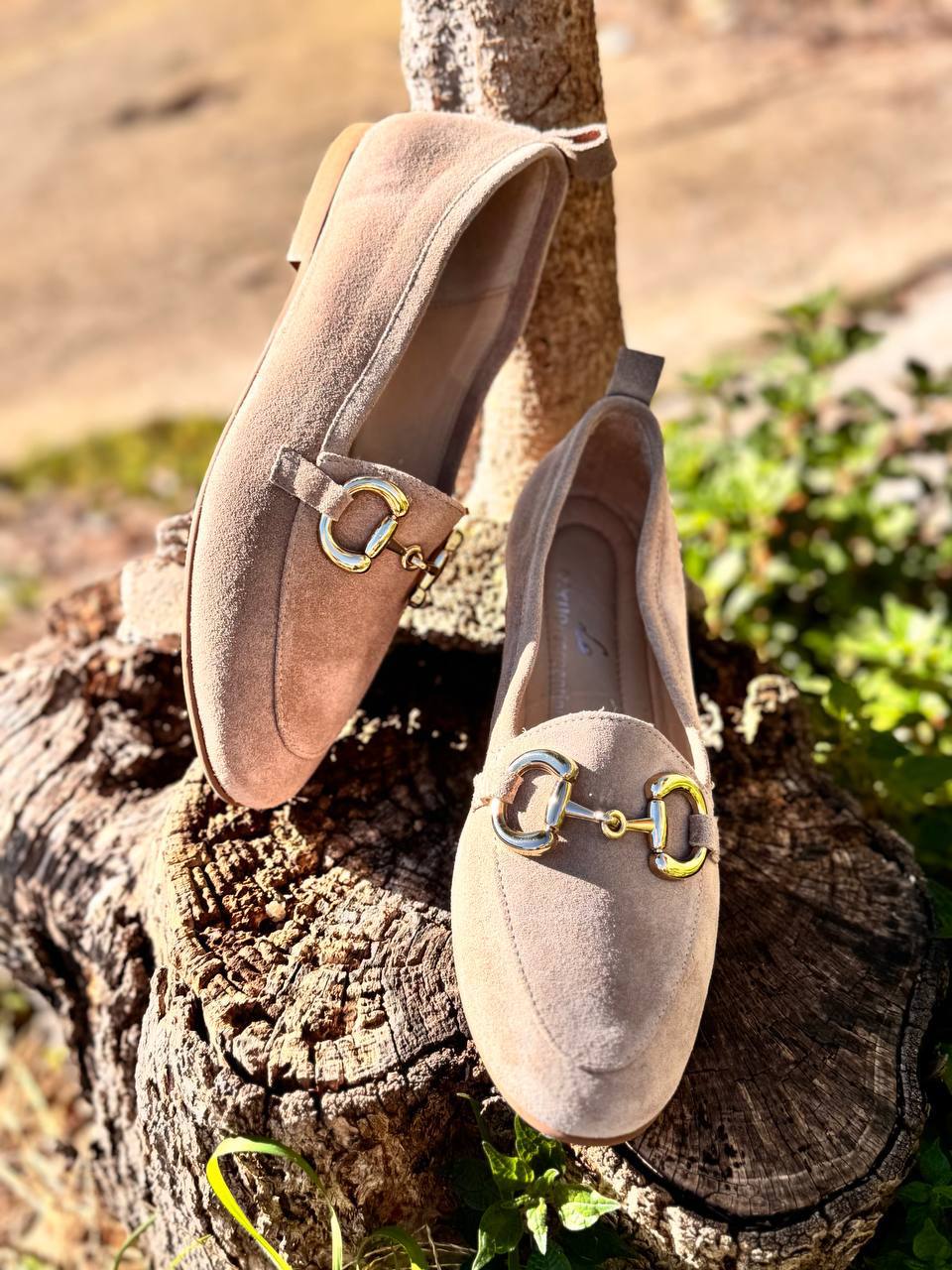 Фото Roberto Serpentini