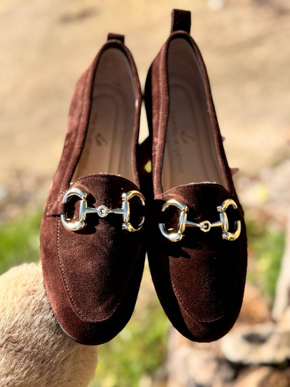 Фото Roberto Serpentini