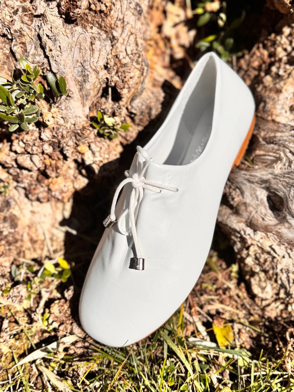 Фото Roberto Serpentini