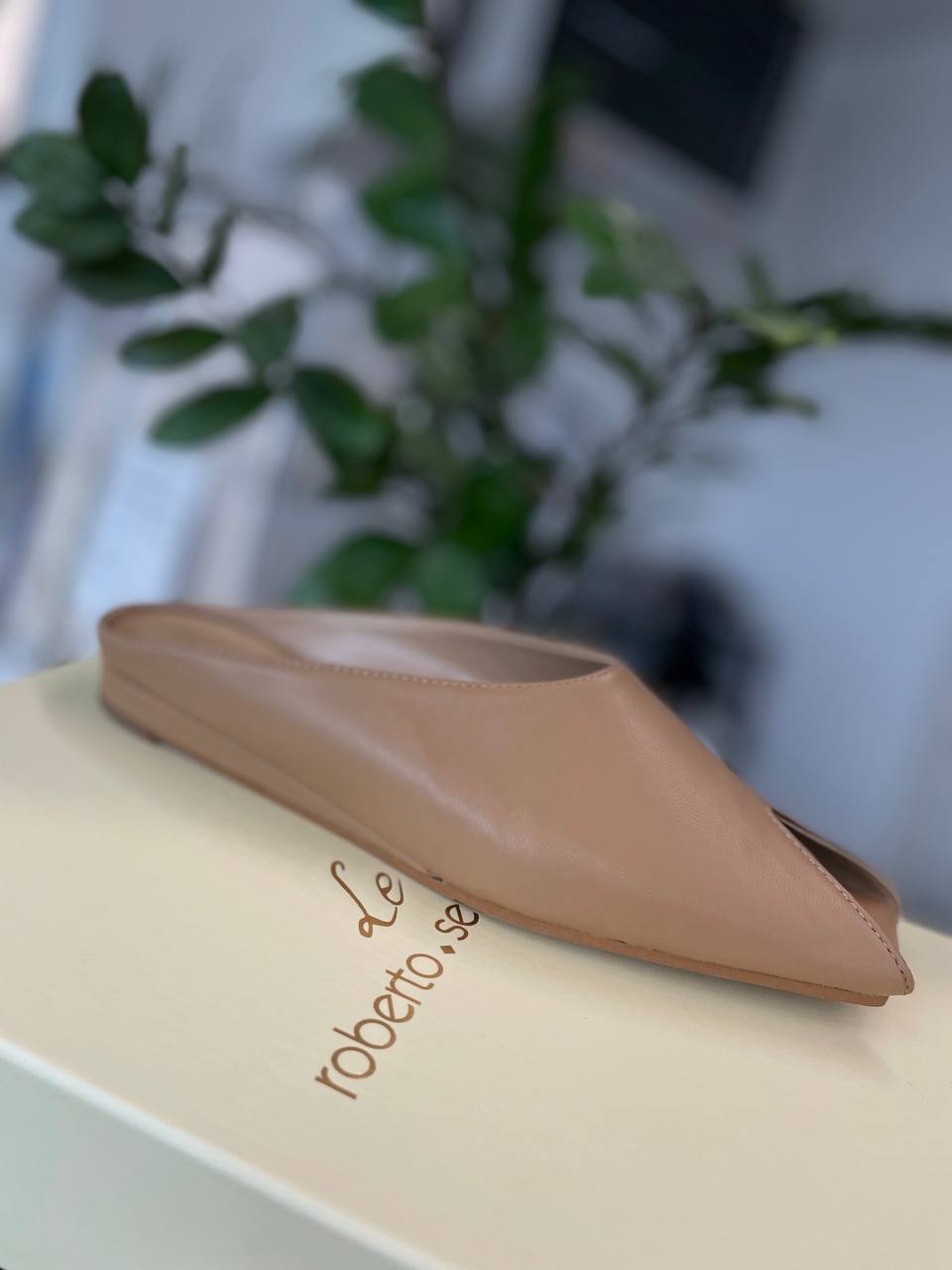 Фото Roberto Serpentini