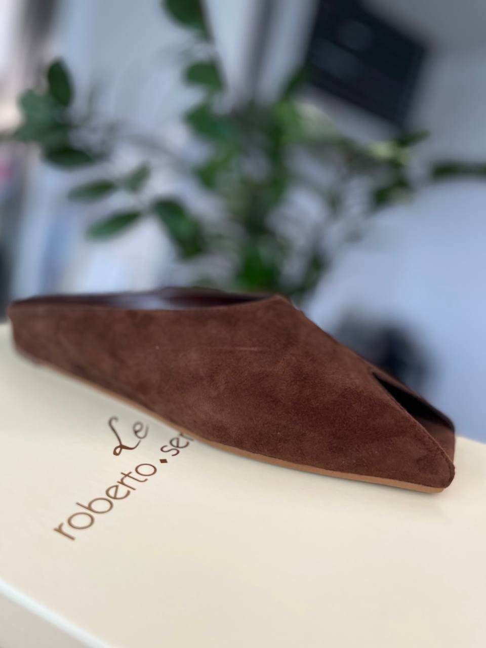 Фото Roberto Serpentini