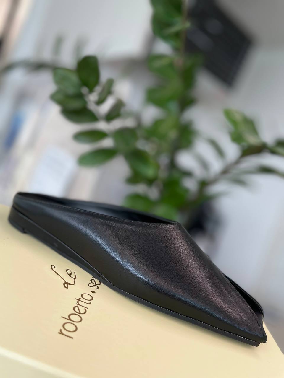 Фото Roberto Serpentini