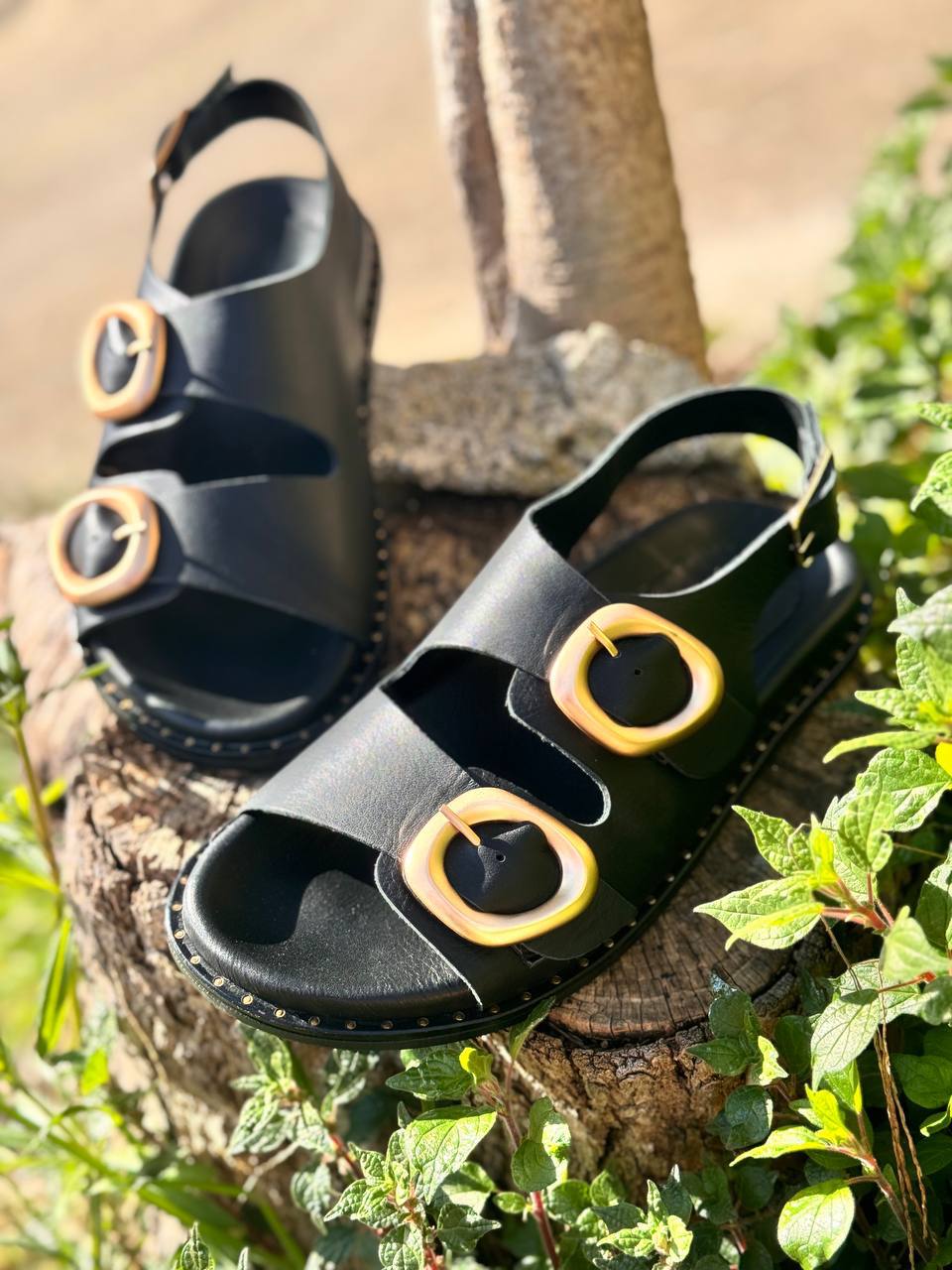 Фото Roberto Serpentini