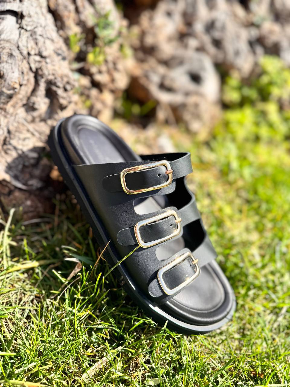 Фото Roberto Serpentini