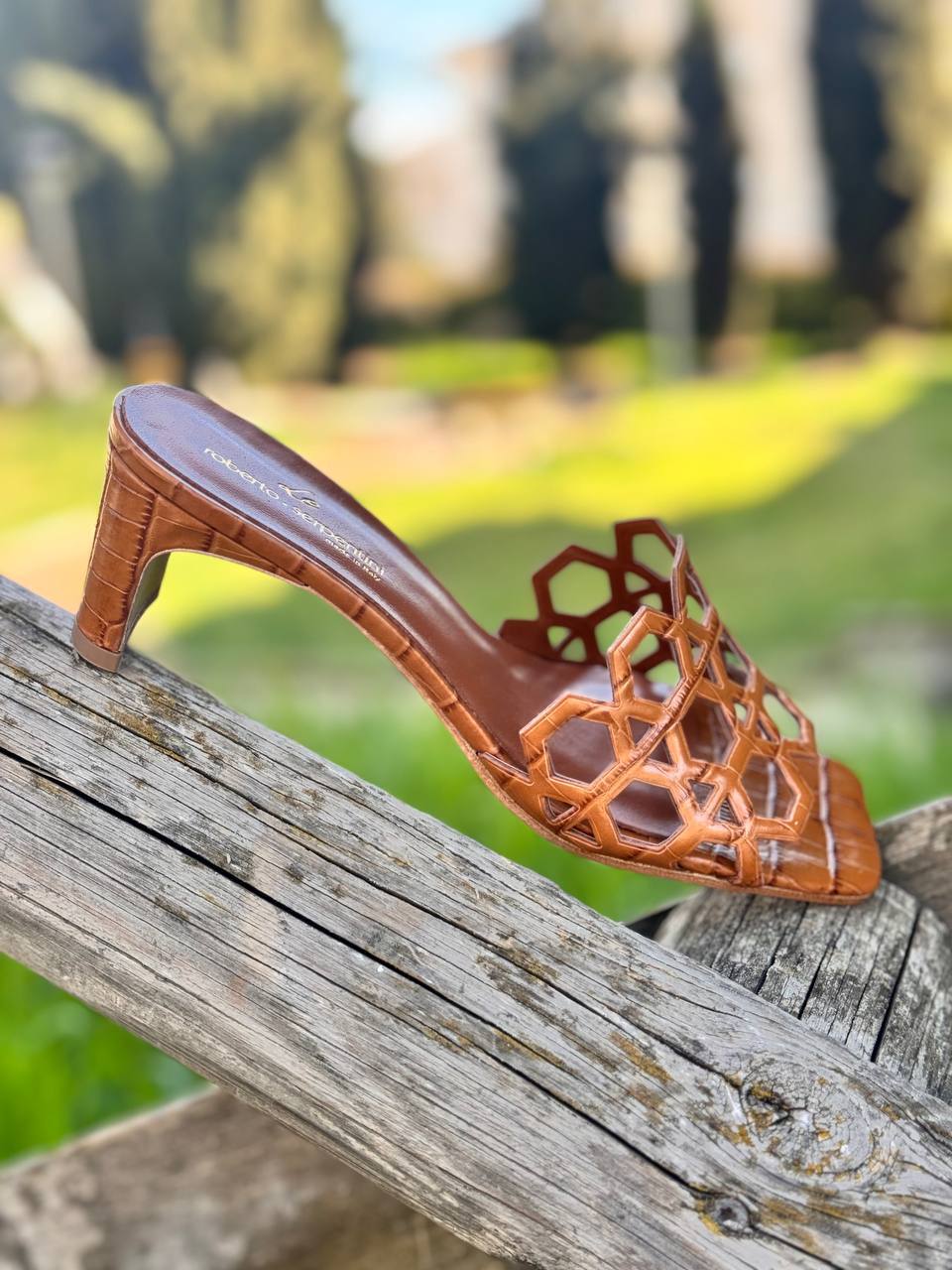 Фото Roberto Serpentini