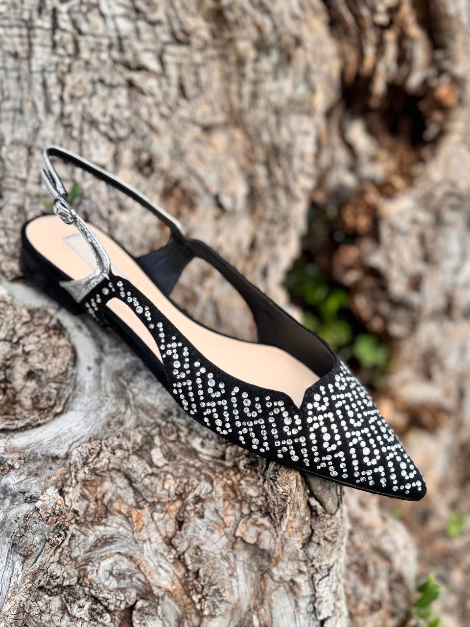 Фото Roberto Serpentini