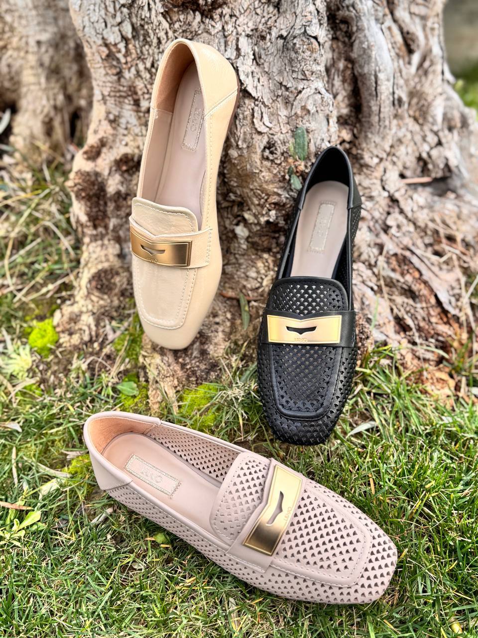 Фото Roberto Serpentini