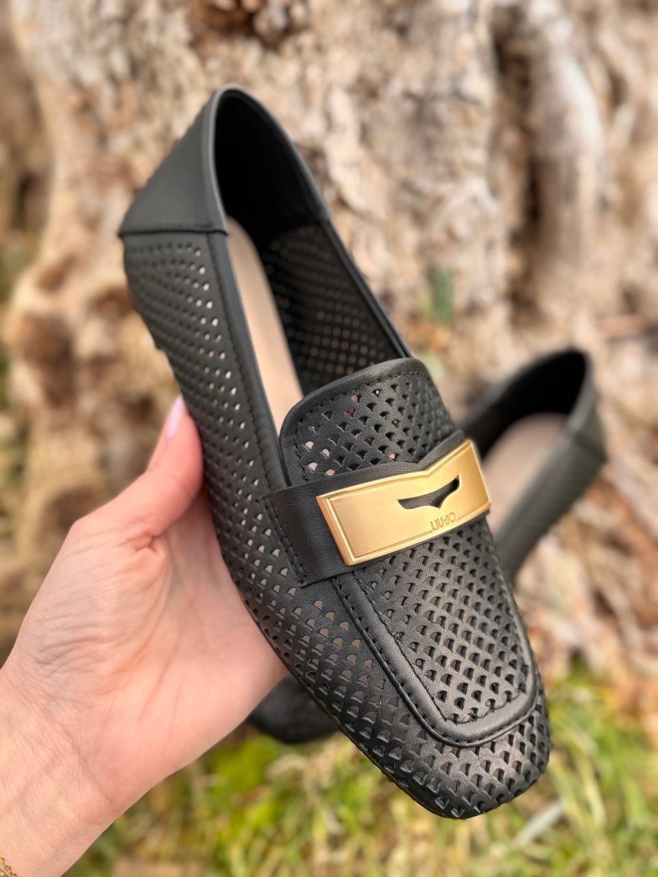 Фото Roberto Serpentini