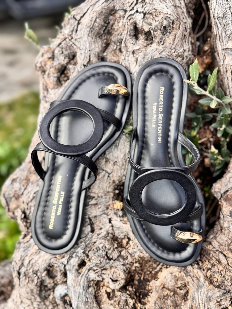 Фото Roberto Serpentini