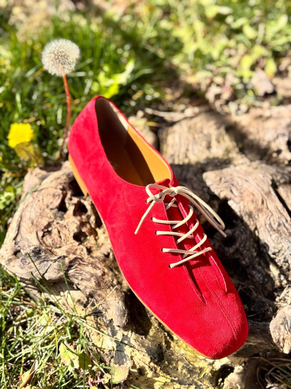 Фото Roberto Serpentini