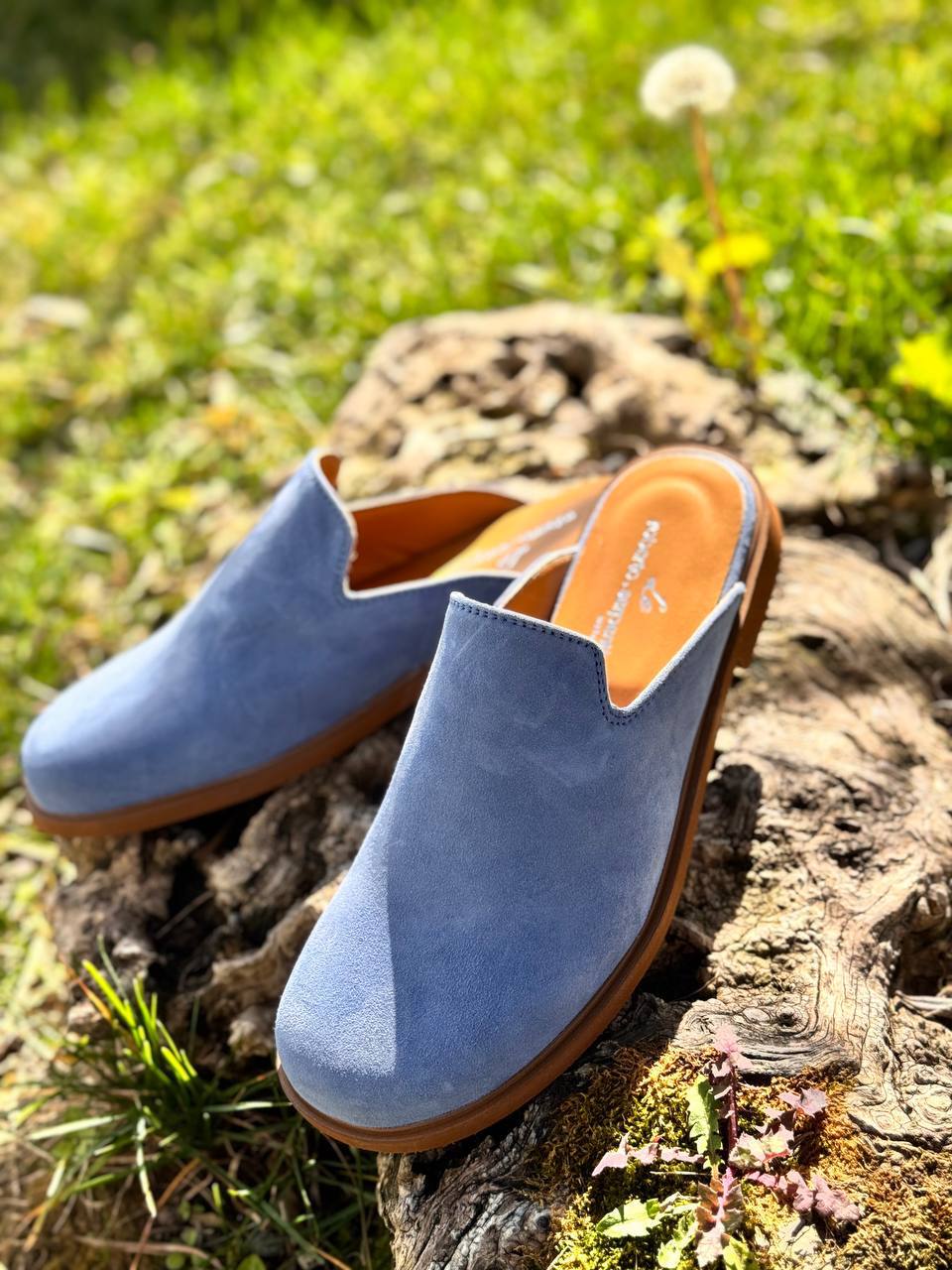 Фото Roberto Serpentini