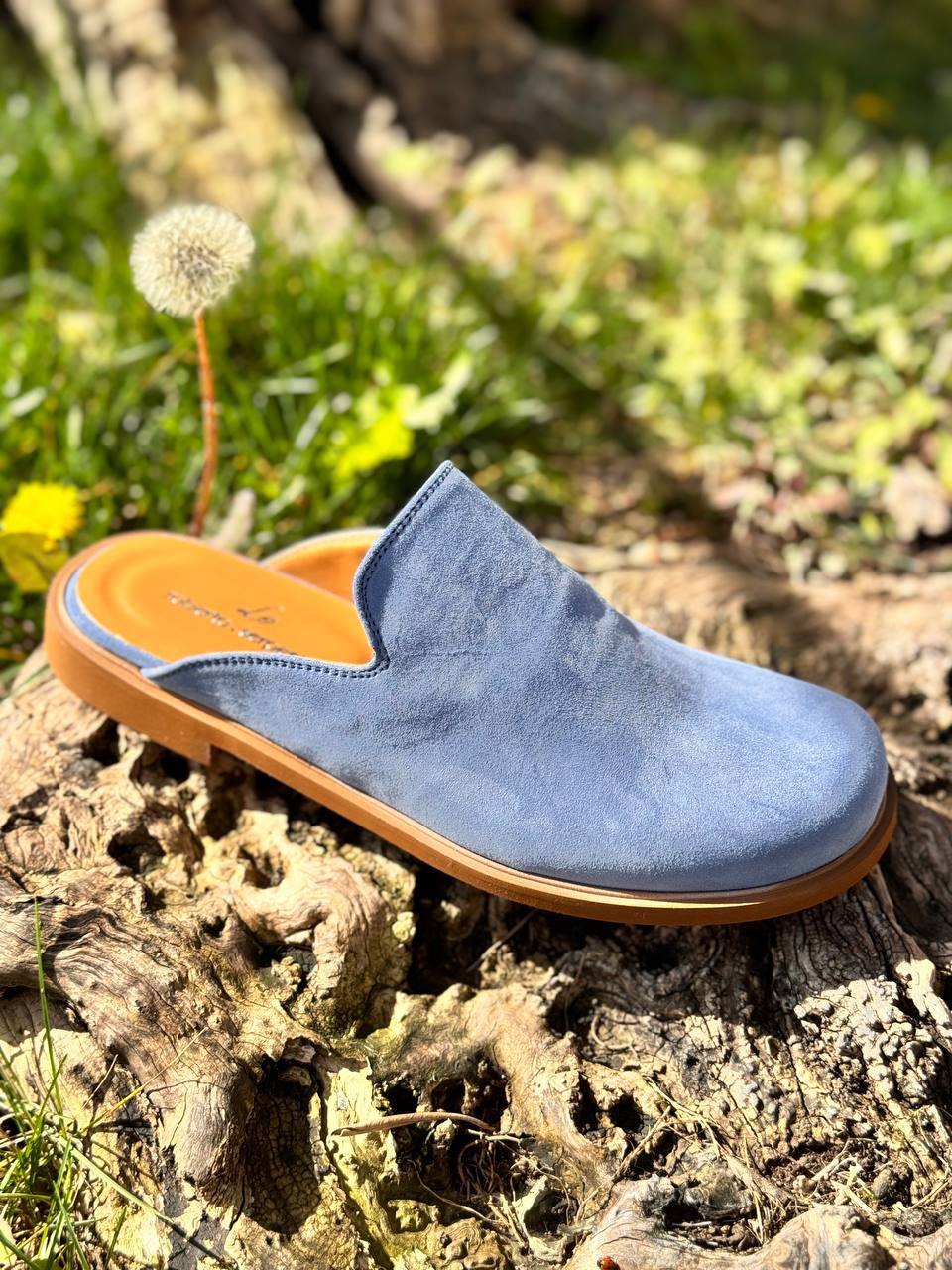 Фото Roberto Serpentini