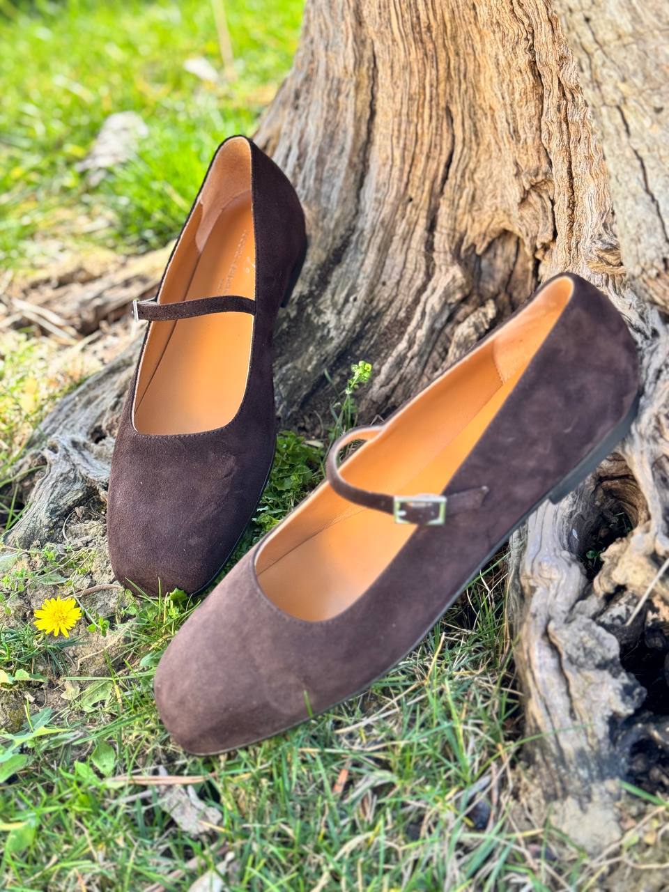 Фото Roberto Serpentini