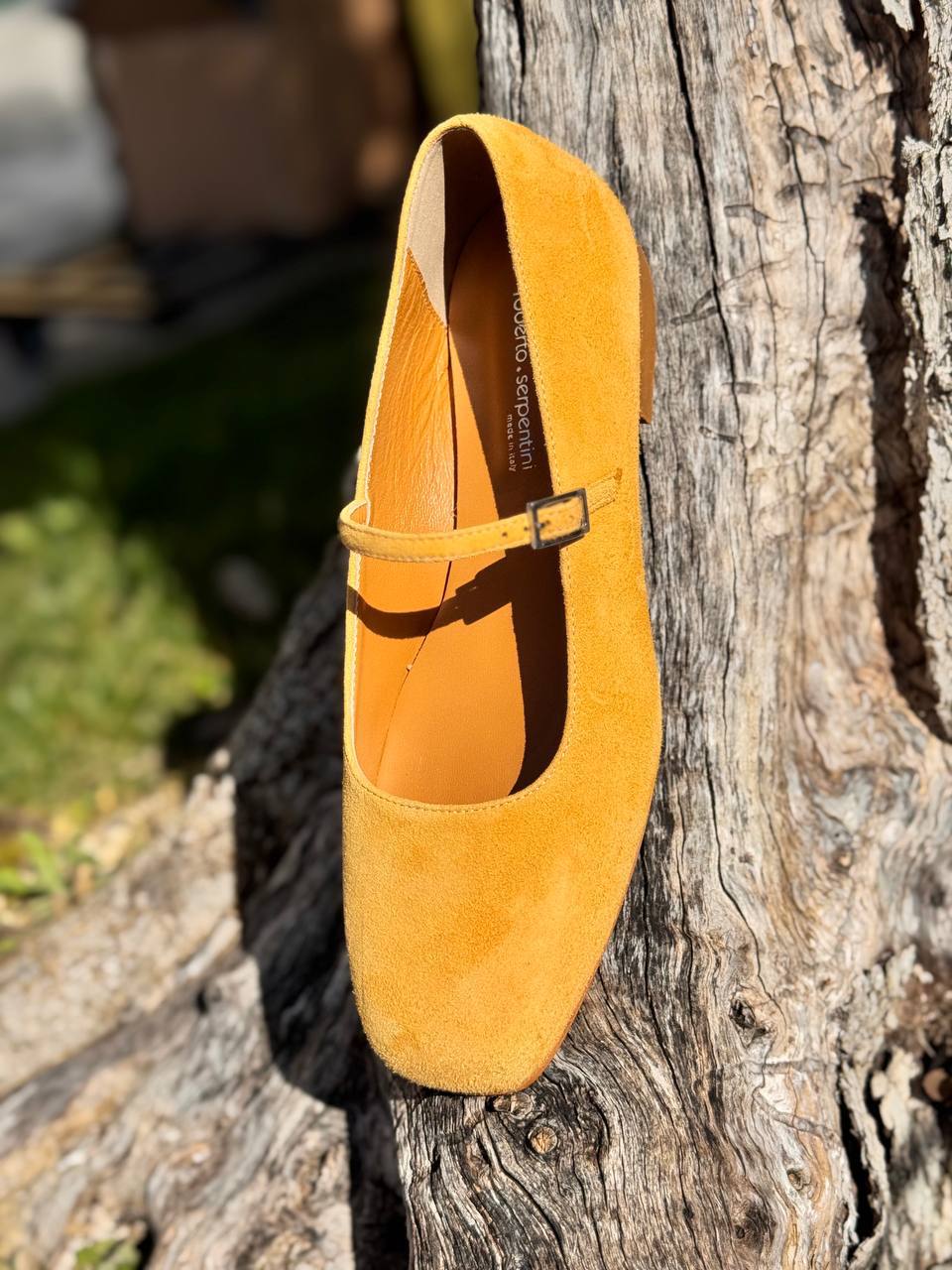 Фото Roberto Serpentini