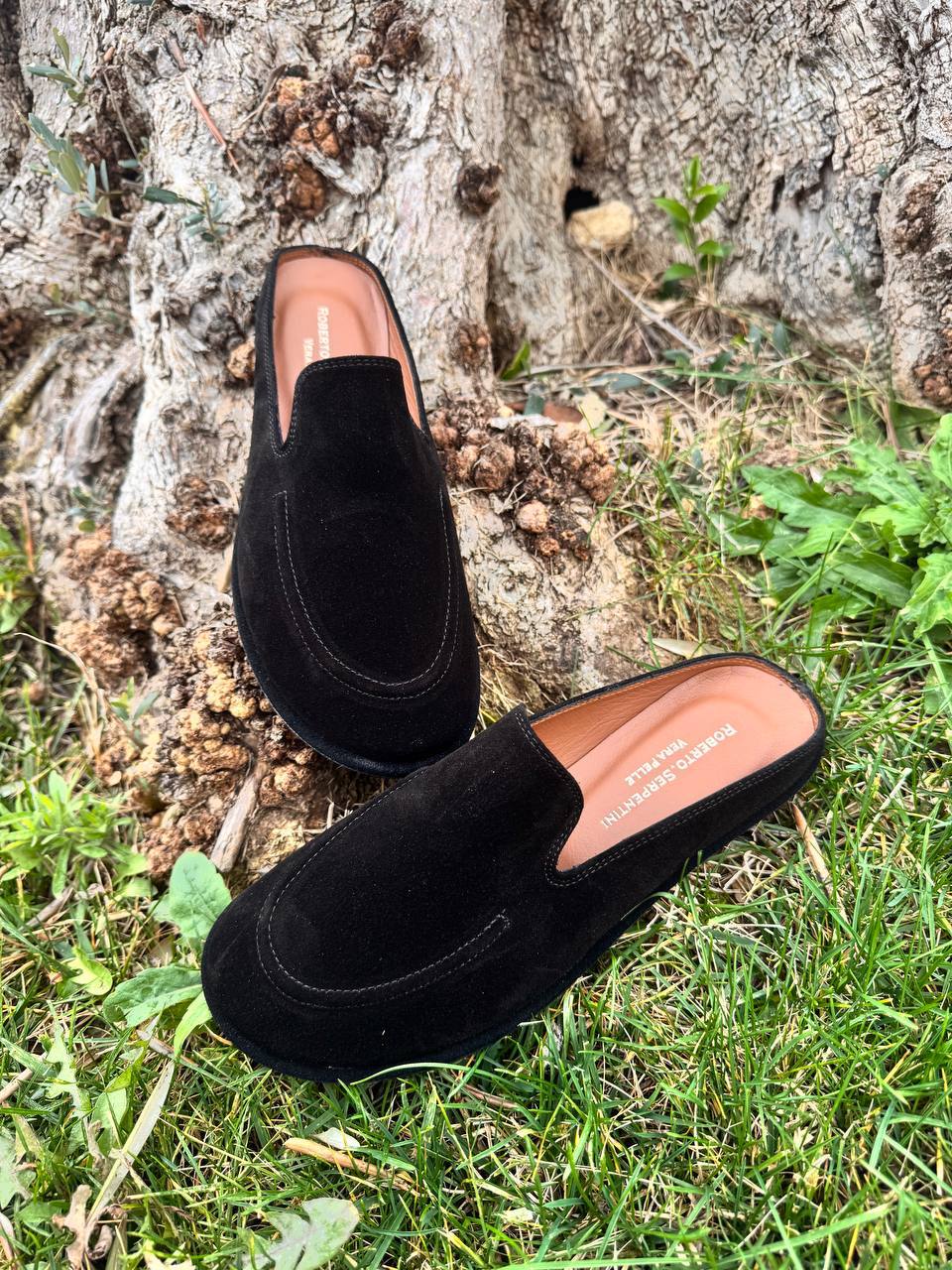 Фото Roberto Serpentini