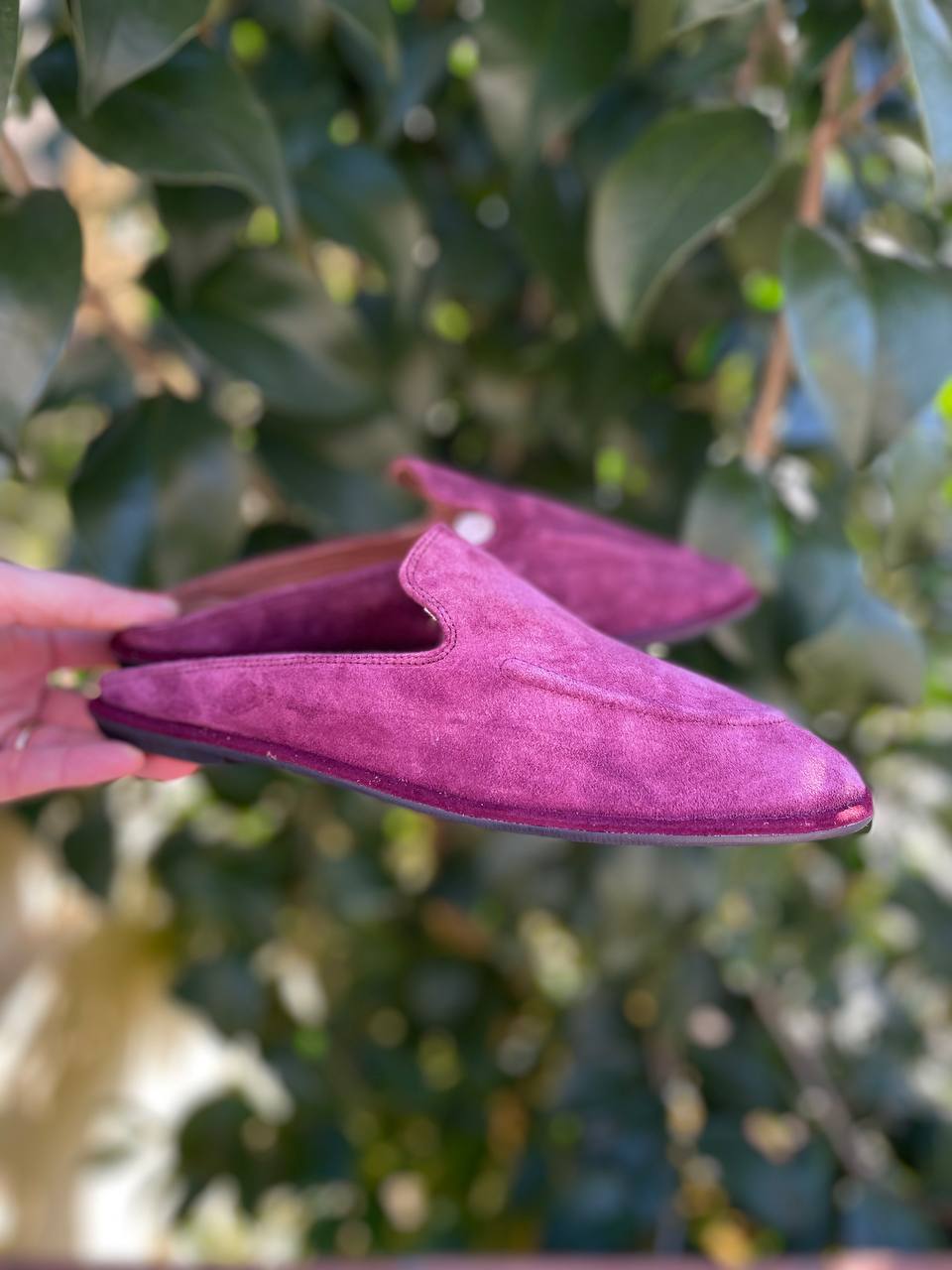 Фото Roberto Serpentini