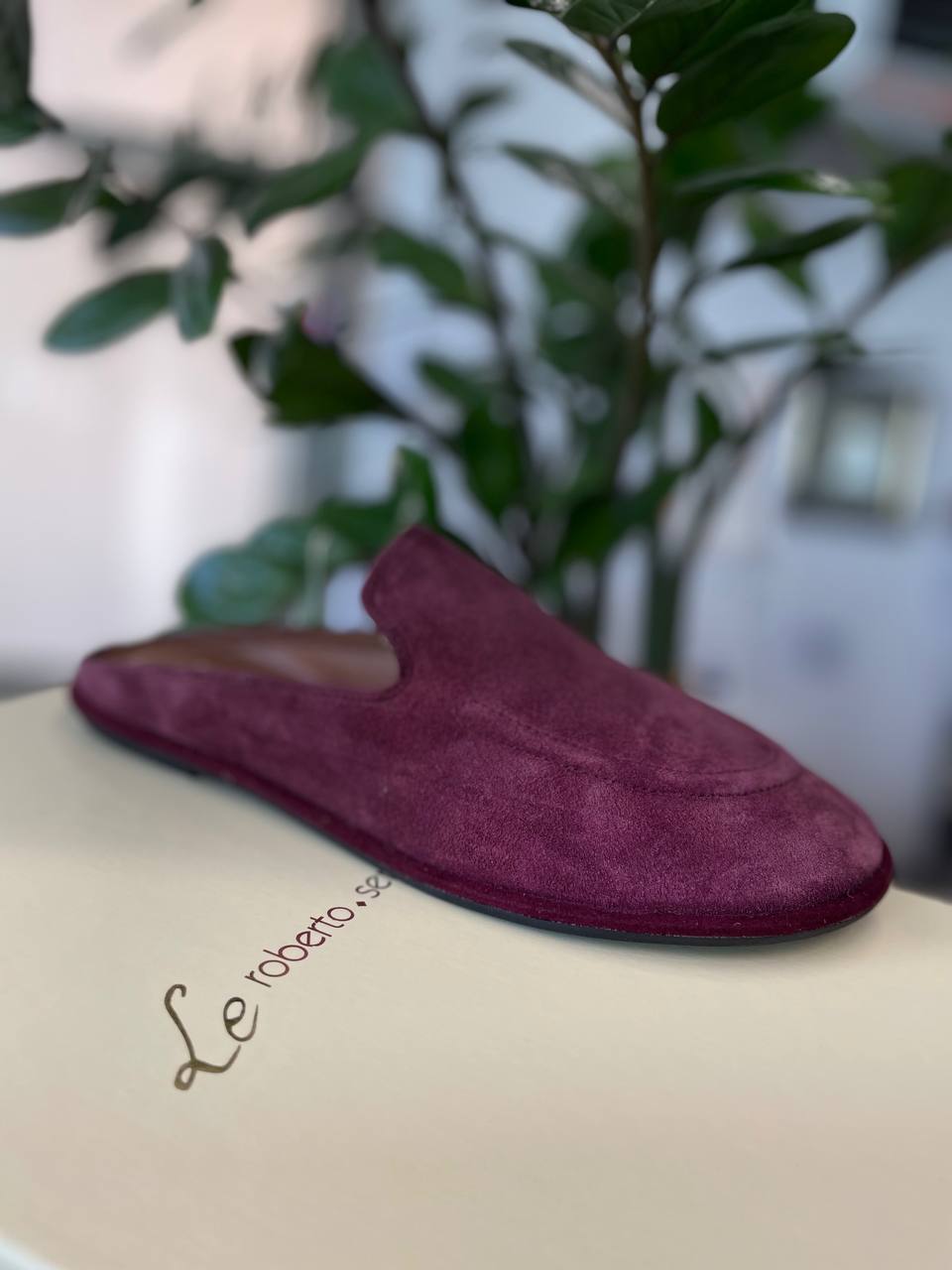 Фото Roberto Serpentini