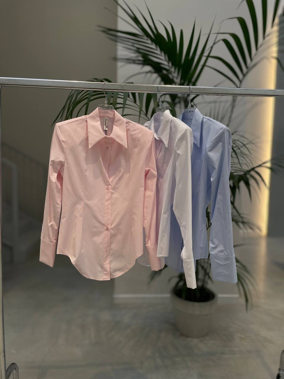 Фото Tensione in