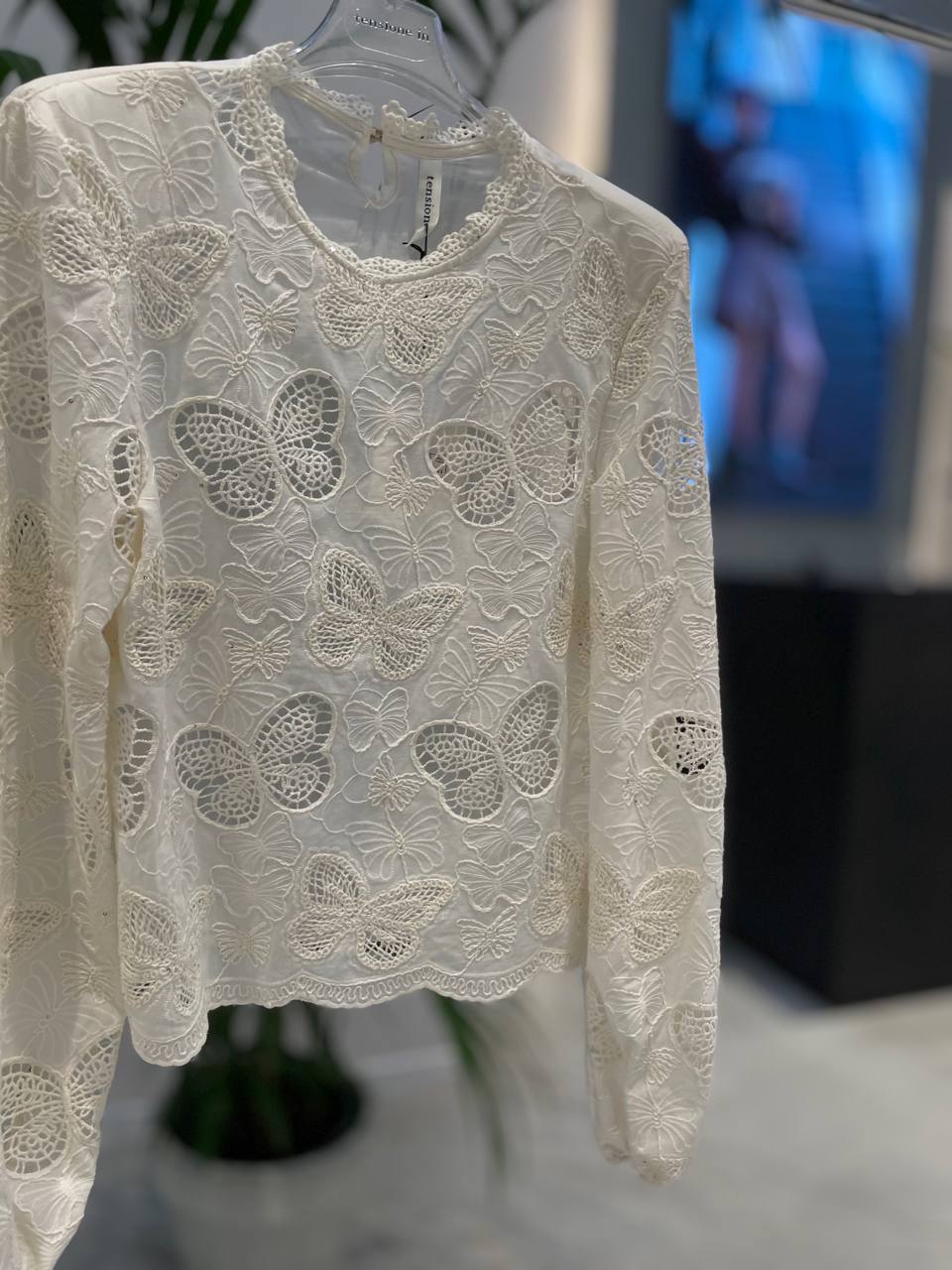 Фото Tensione in