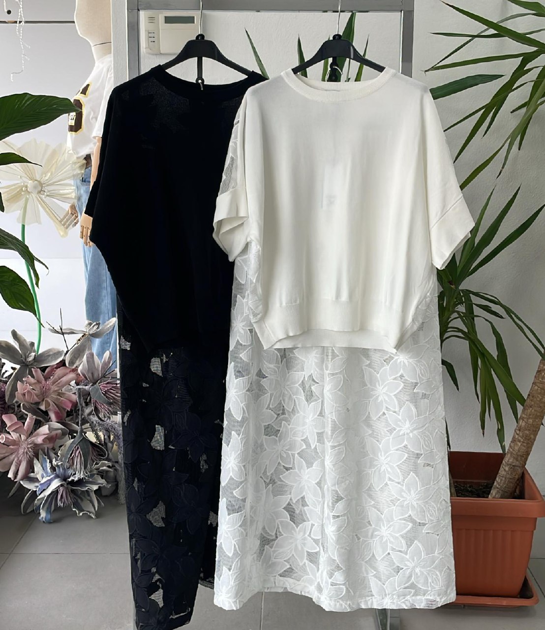 Фото Joie Clair (J-Clair)