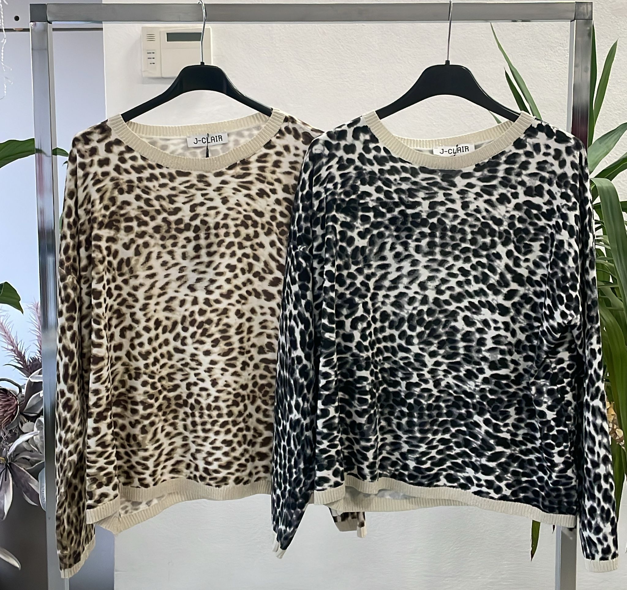 Фото Joie Clair (J-Clair)