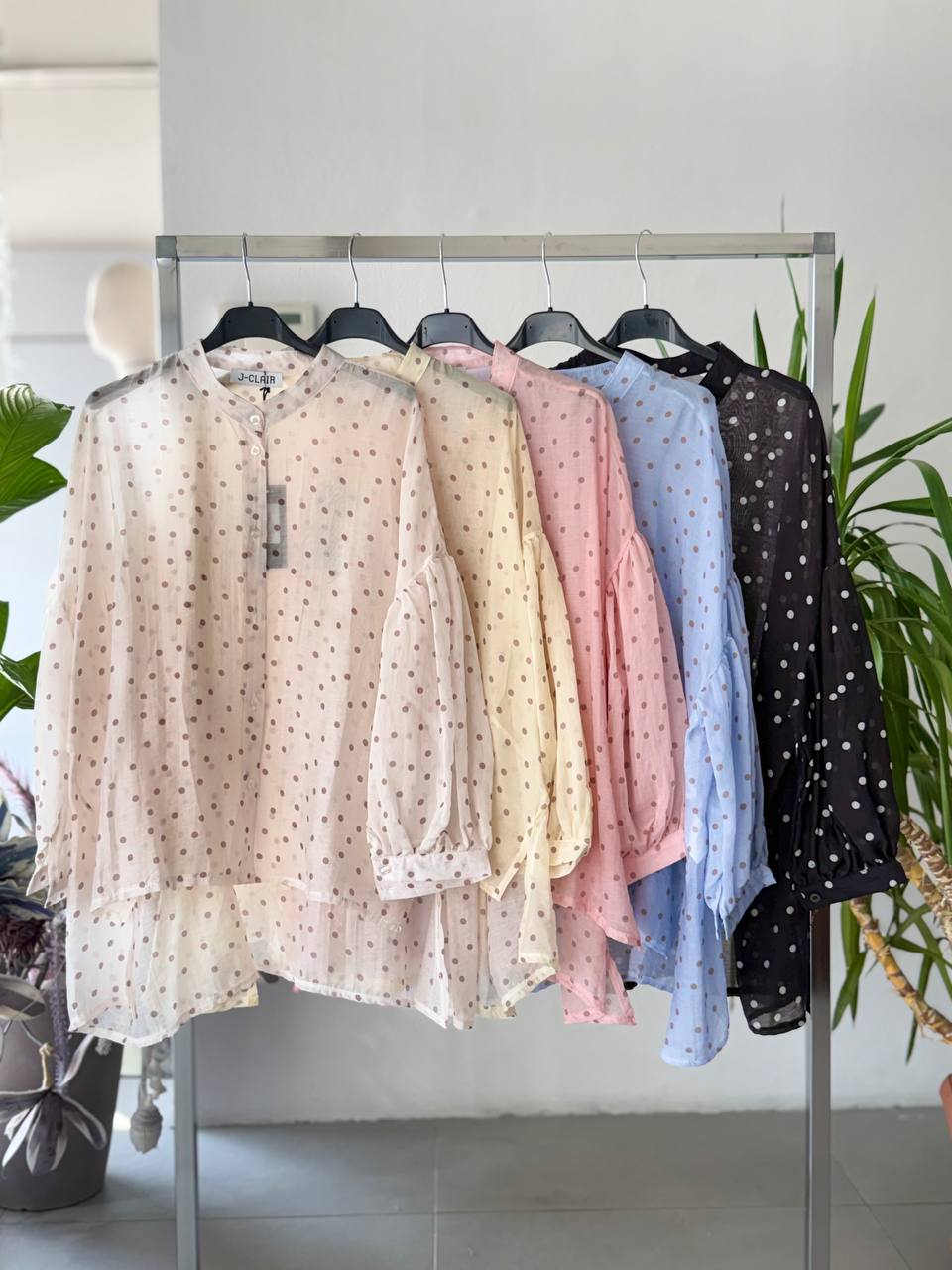 Фото Joie Clair (J-Clair)