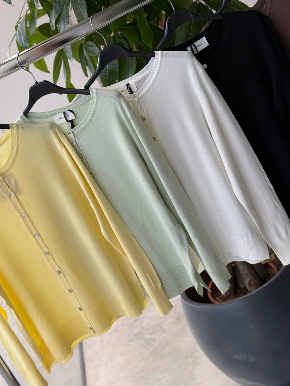 Фото Amelie Follies (Michelle)