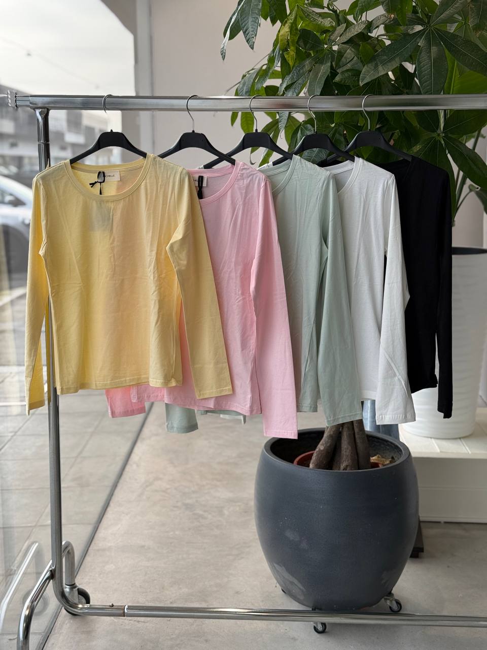 Фото Amelie Follies (Michelle)